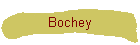 Bochey