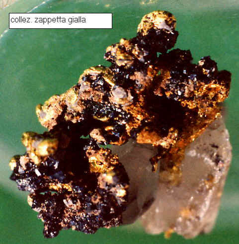 Oro associato con altri minerali che  possibile trovare in Italia.