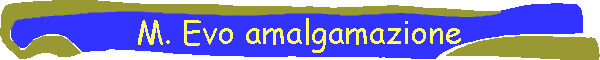 M. Evo amalgamazione