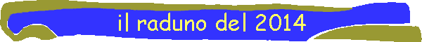 il raduno del 2014