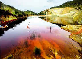 FOTO FURTEI DISASTRO ECOLOGICO 2
