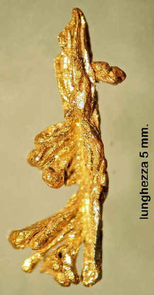 ORO DEL RIO GORZENTE.