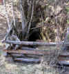 foto gran guata.jpg (12097 byte)