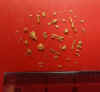 foto oro ovada artif.jpg (5749 byte)