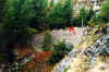 foto_comba_toppa rid .jpg (22773 byte)