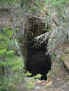 foto pozzo trivera .JPG (54403 byte)