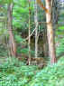 foto crot du naie inf.jpg (24563 byte)